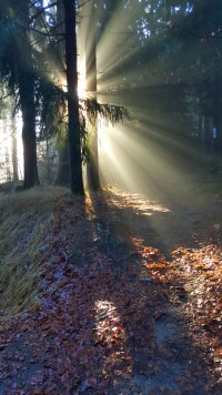 Sonne 2015